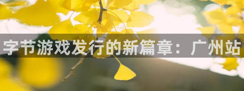 杏耀官网注册方法是什么样的：字节游戏发行的新篇章：广州站