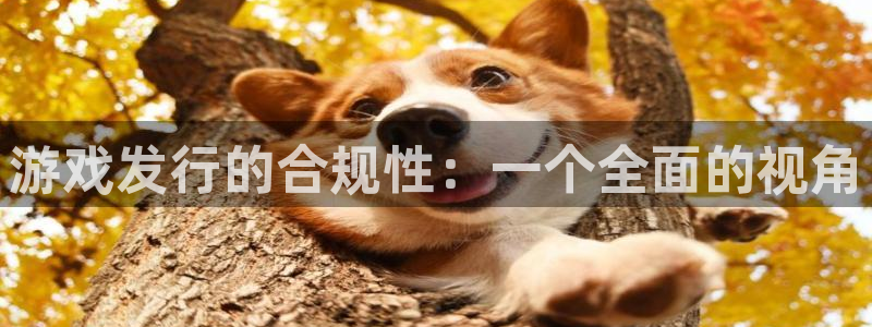 杏耀官网客服招聘：游戏发行的合规性：一个全面的视角