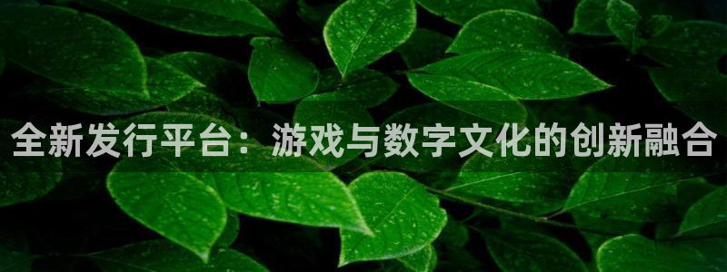 杏耀电子商务有限公司招聘：全新发行平台：游戏与数字文化的创新融合
