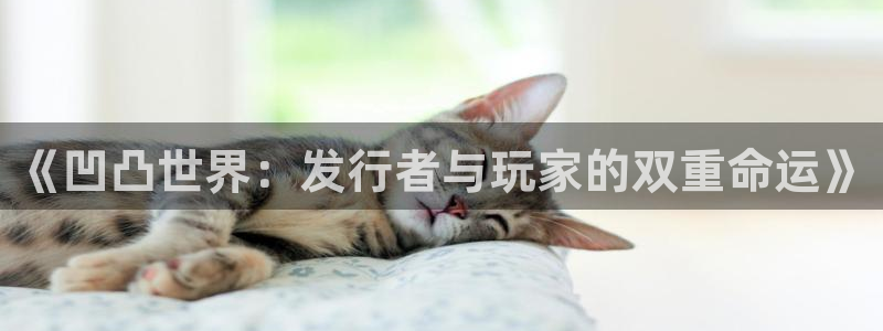广东杏耀：《凹凸世界：发行者与玩家的双重命运》