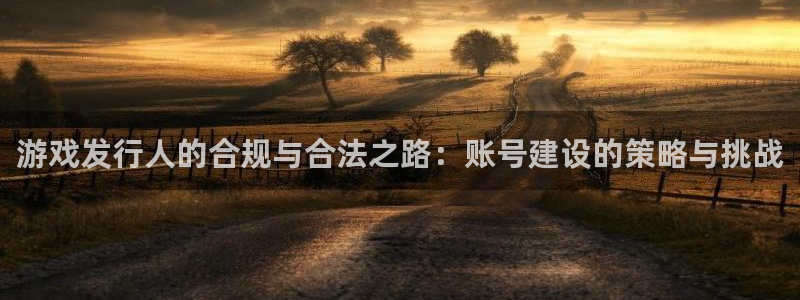 四川杏耀科技有限公司招聘：游戏发行人的合规与合法之路：账号建设的策略与挑战