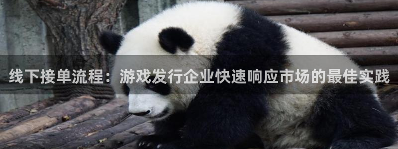 杏耀电子商务：线下接单流程：游戏发行企业快速响应市场的最佳实践