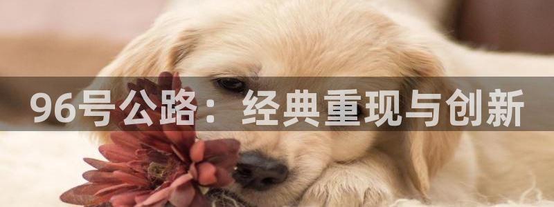 杏耀官网登录注册失败怎么回事：96号公路：经典重现与创新