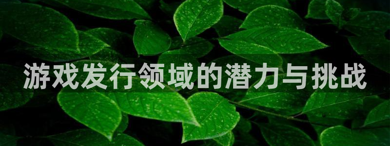 杏耀官网登录注册账号：游戏发行领域的潜力与挑战