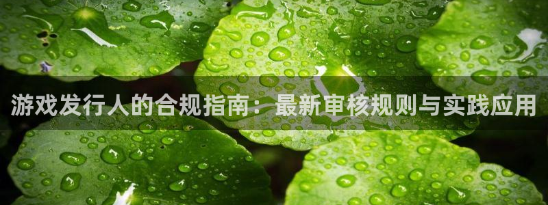 杏耀啤酒多少钱一箱