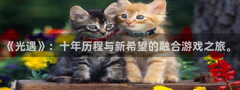 四川杏耀科技有限公司招聘