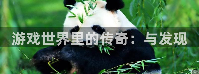 杏耀子经理人杂志